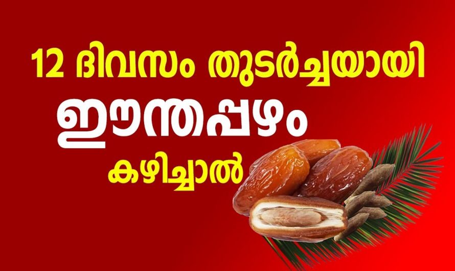 രക്തത്തെ ശുദ്ധീകരിക്കാനും രക്തക്കുഴലുകളുടെ ആരോഗ്യം ഉറപ്പു വരുത്താനും ഇതൊരെണ്ണം മതി. കണ്ടു നോക്കൂ…| Dates fruit benefits for health