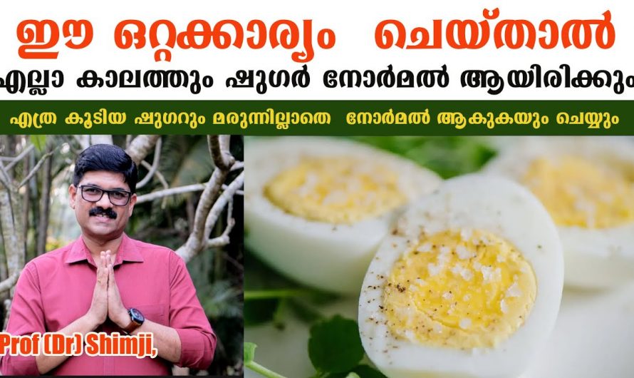 ഷുഗറിനെ വർദ്ധിപ്പിക്കാതെ പിടിച്ചു നിർത്താൻ ചെയ്യേണ്ട കാര്യങ്ങളെ ഇതുവരെയും അറിയാതെ പോയല്ലോ.