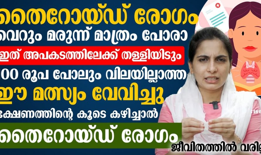 തൈറോയ്ഡിനെ  മറികടക്കാൻ മരുന്നുകൾക്കൊപ്പം ഇത്തരം ഭക്ഷണങ്ങൾ കൂടി ശീലമാക്കൂ. മാറ്റം സ്വയം തിരിച്ചറിയൂ…| Thyroid disease symptoms