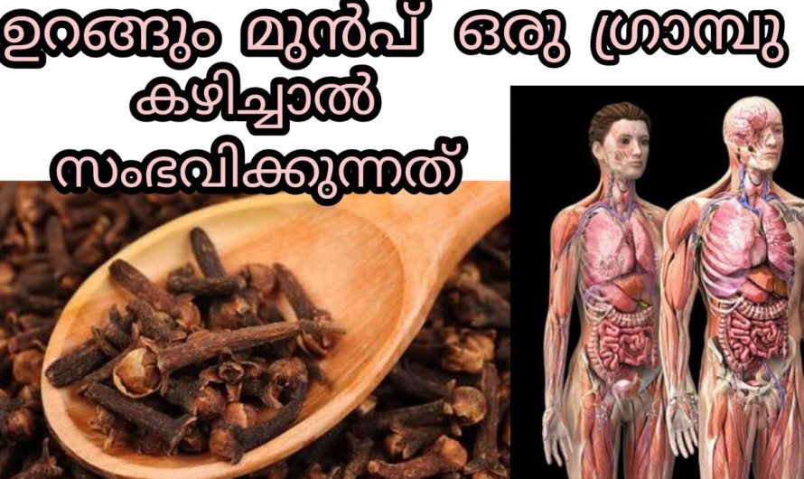 പനി ചുമ പല്ലുവേദന വിരശല്യം എന്നിങ്ങനെ ഒട്ടനവധി രോഗങ്ങളെ ഇല്ലായ്മ ചെയ്യാൻ ഇതൊരു അല്പം മതി. കണ്ടു നോക്കൂ…| Benefits of cloves