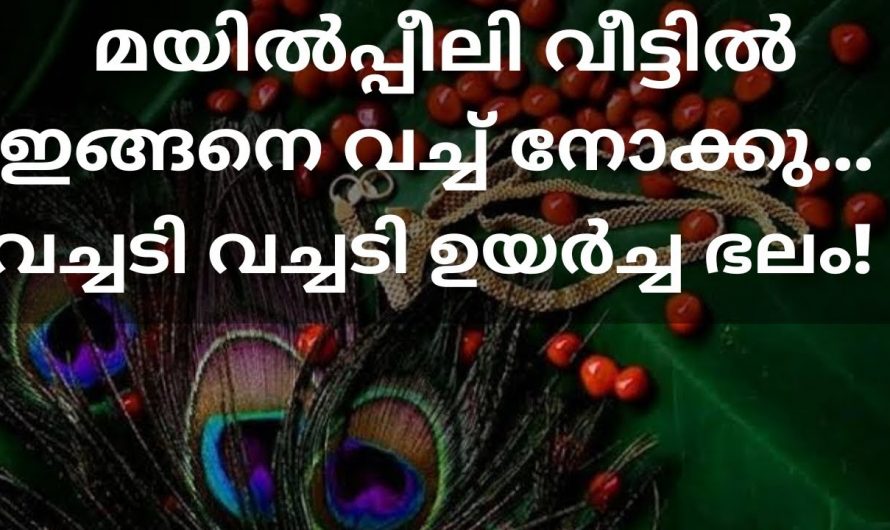 വീടുകളിൽ ഐശ്വര്യം വർധിക്കുന്നതിനെ  ചെയ്യേണ്ട ഇക്കാര്യത്തെക്കുറിച്ച് ഇതുവരെയും അറിയാതെ പോയല്ലോ.