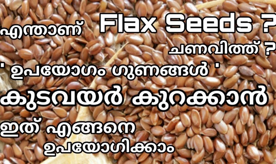 വയറിന് ചുറ്റും അടിഞ്ഞുകൂടിയിട്ടുള്ള കൊഴുപ്പുകളെ നീക്കം ചെയ്യാൻ ഇതൊരു പിടി മതി. കണ്ടു നോക്കൂ…| Benefits of Flaxseeds