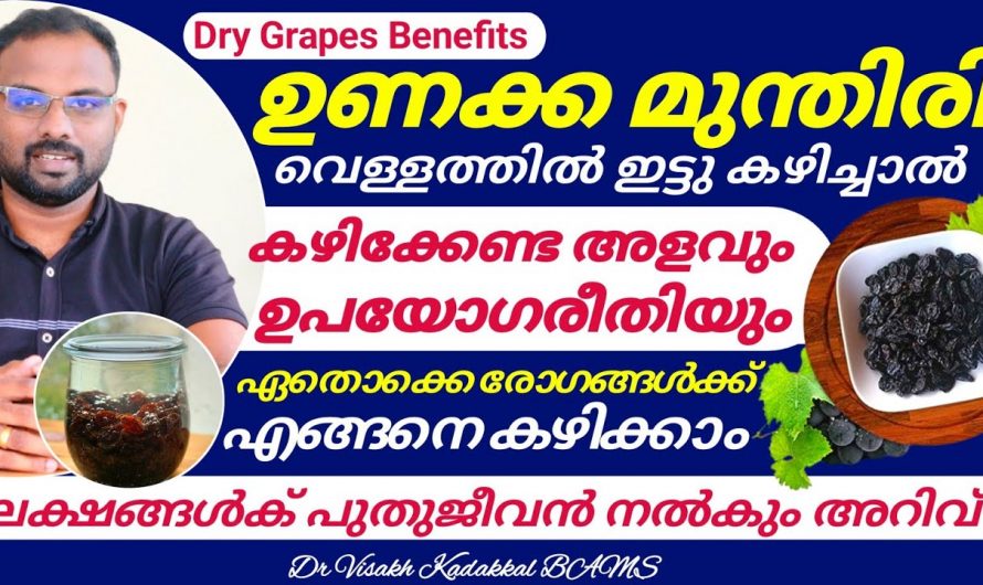 ദഹനത്തെ സഹായിക്കാനും മലബന്ധം ഒഴിവാക്കാനും ഇതിനുള്ള കഴിവ് മറ്റൊന്നിനും ഇല്ല. കണ്ടു നോക്കൂ…| Benefits of Raisins