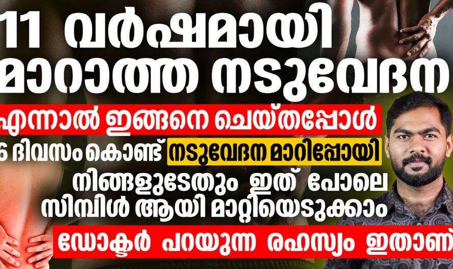 എത്ര വലിയ നടുവേദനയെയും ദിവസങ്ങളിൽക്കുള്ളിൽ അകറ്റാൻ ഇതാരും അറിയാതെ പോകല്ലേ…| Back pain reasons and remedies