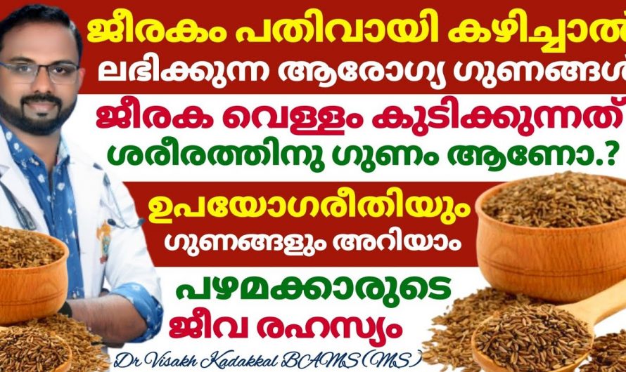 ദഹനം എളുപ്പമാക്കാൻ ഇതൊരു തരി മതി. ഇതിന്റെ ഗുണങ്ങൾ ആരും നിസാരമായി കാണരുതേ.