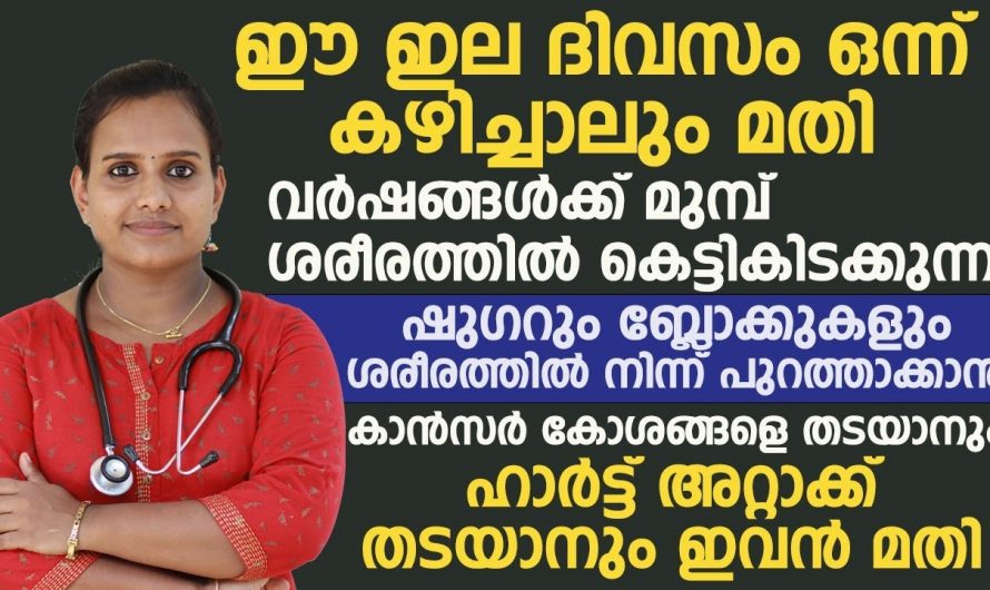 രക്തക്കുഴലുകളിലെ ബ്ലോക്കുകളെ ഇല്ലായ്മ ചെയ്യാൻ ഈ ഒരു ഇല മതി. ഇതാരും നിസ്സാരമായി കാണരുതേ.