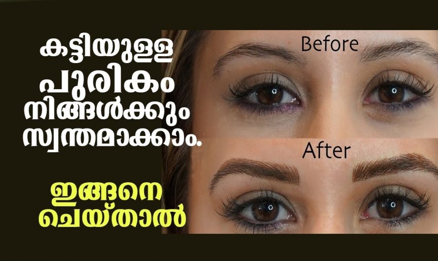 കട്ടിയുളള പുരികo ആഗ്രഹിക്കുന്നവരാണ് നിങ്ങളെങ്കിൽ ഇതാരുo നിസ്സാരമായി കാണരുതേ.