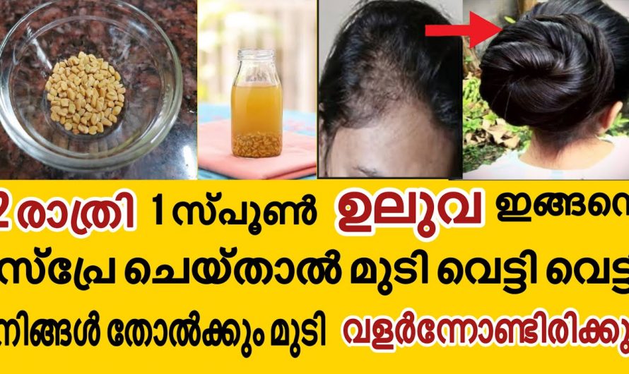 ഈ ഹെയർ ടോണർ ഉപയോഗിക്കൂ അത്ഭുതകരമായിട്ടുള്ള മാറ്റം സ്വയം തിരിച്ചറിയൂ…| Hair growth water