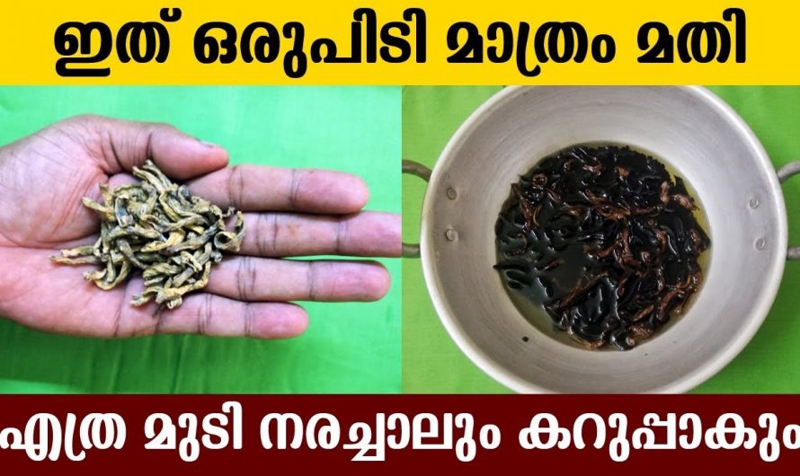 നാച്ചുറലായി മുടി കറുപ്പിക്കാൻ ആഗ്രഹിക്കുന്നവരാണോ നിങ്ങൾ? ഇതാരും അറിയാതെ പോകരുതേ.