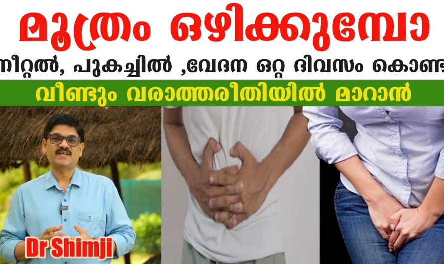 മൂത്ര പഴുപ്പിന് പൂർണമായും ഇല്ലായ്മ ചെയ്യാൻ ഇത്തരം കാര്യങ്ങൾ ശ്രദ്ധിച്ചാൽ മതി. കണ്ടു നോക്കൂ.