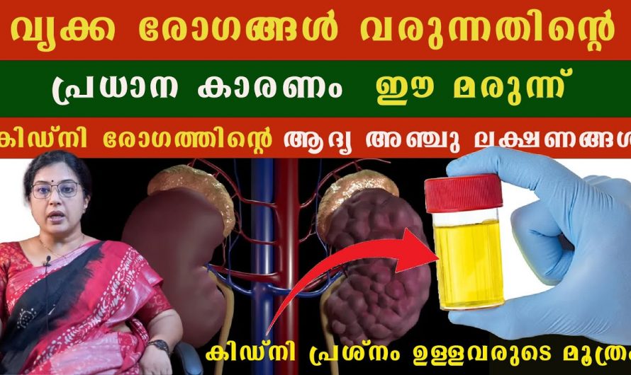 വൃക്ക രോഗങ്ങൾ കൂടി വരുന്നതിന്റെ കാരണങ്ങളെ ആരും അറിയാതെ പോകല്ലേ.