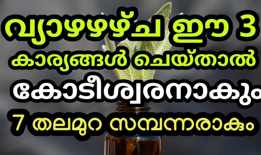 ജീവിതത്തിൽ ഉടനീളം ഐശ്വര്യവും ഉണ്ടാകുവാൻ ചെയ്യേണ്ട ഇത്തരം കാര്യങ്ങൾ ഇതുവരെയും അറിയാതെ പോയല്ലോ.