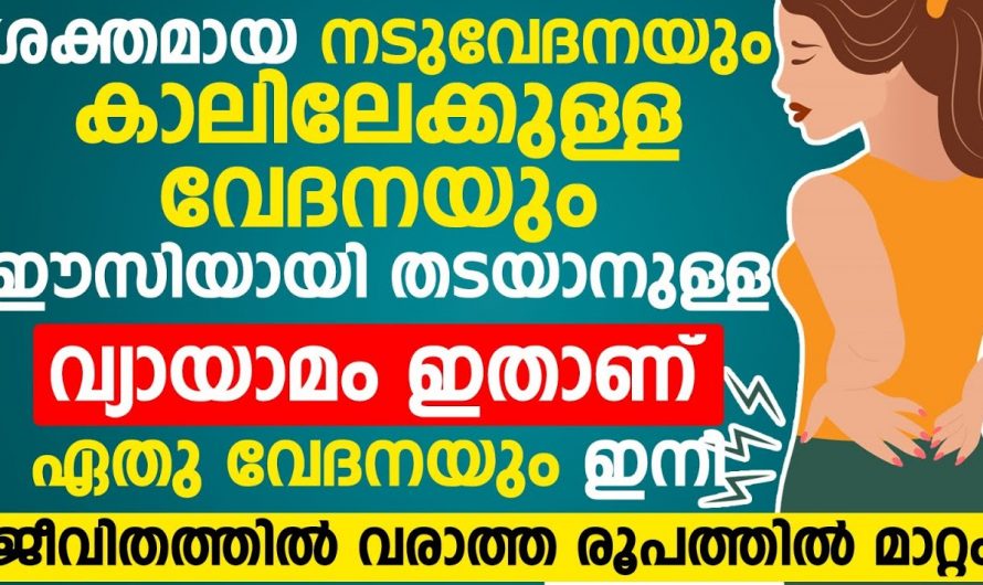 അതിശക്തമായിട്ടുള്ള ബട്ടക്സ് വേദന നിങ്ങളിൽ ഉണ്ടോ? എങ്കിൽ ഇതാരും കാണാതെ പോകല്ലേ…| Back pain reasons for ladies