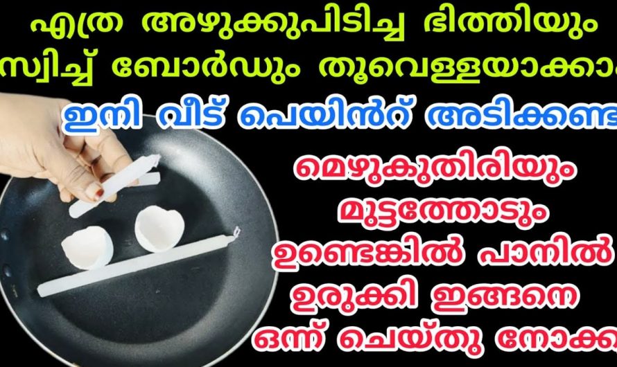 ഭിത്തിയിലെ അഴുക്കും കറകളും നീക്കം ചെയ്യാൻ ഇനി ഈ ഒരു മിശ്രിതം മതി. ഇതാരും നിസ്സാരമായി തള്ളിക്കളയരുതേ.