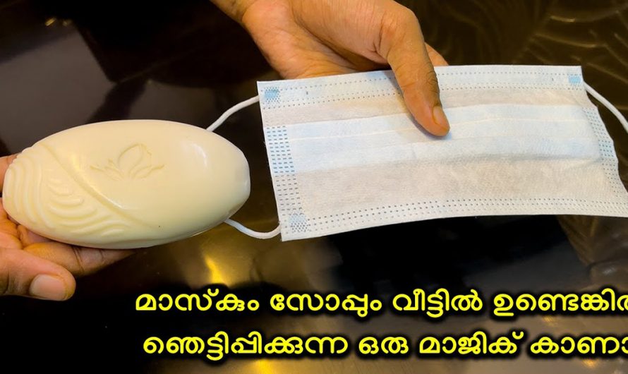 മാസ്കിൽ സോപ്പ് ഇങ്ങനെ വയ്ക്കൂ മാസങ്ങൾ കടന്നു പോയാലും സോപ്പ് തീരില്ല. കണ്ടു നോക്കൂ.