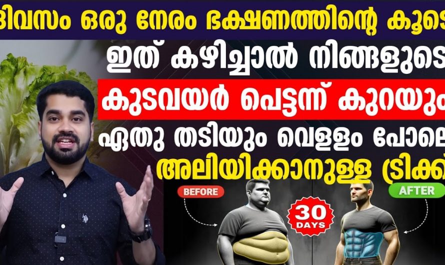 ശരീരഭാരം കുറയ്ക്കാൻ ഭക്ഷണമല്ല ചില ഭക്ഷണ പദാർത്ഥങ്ങളാണ് കുറയ്ക്കേണ്ടത്.കേട്ടു നോക്കൂ.