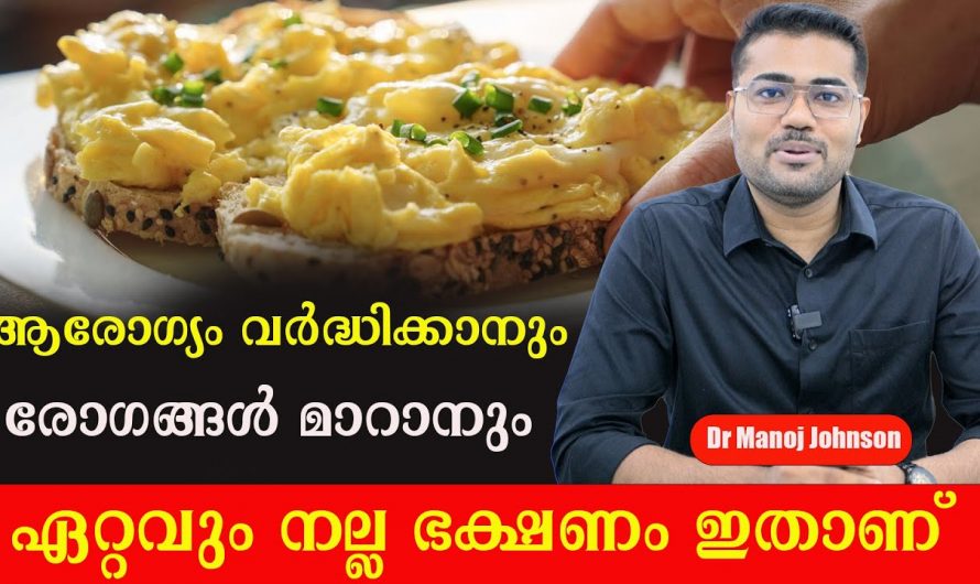 രോഗങ്ങളെ ഒഴിവാക്കാനും ആരോഗ്യം ഇരട്ടിയാക്കാനും ഇതിനുള്ള കഴിവ് മറ്റൊന്നിനുമില്ല…| Best Food For Body