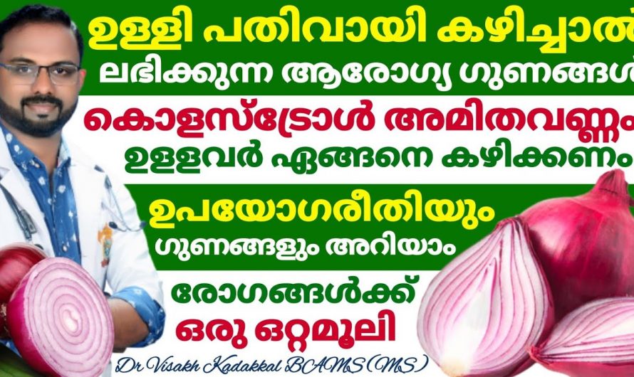 ജീവിതശൈലി രോഗങ്ങളെ ജീവിതത്തിൽ നിന്ന് ആട്ടിപ്പായിക്കാൻ ഇതൊരു അല്പം മതി. ഇതാരും കാണാതെ പോകല്ലേ…| Onion benefits malayalam