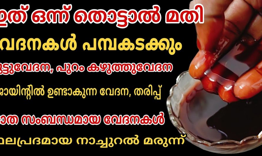 സന്ധിവേദനകളെ എന്നന്നേക്കുമായി ഒഴിവാക്കാൻ ഈ ഒരു തൈലം ഉപയോഗിക്കൂ. മാറ്റം സ്വയം തിരിച്ചറിയൂ…| To cure chronic pain completely