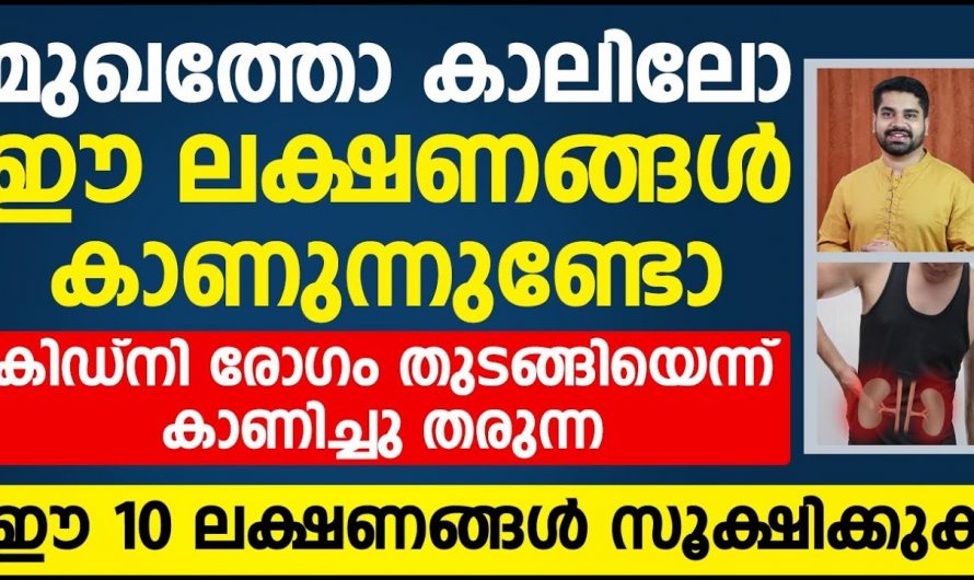 കിഡ്നി രോഗം തുടങ്ങിയെന്ന് കാണിച്ചു തരുന്ന ലക്ഷണങ്ങളെ തിരിച്ചറിയാതെ പോകല്ലേ…| Symptoms of kidney disease