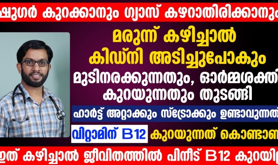 വിറ്റാമിൻ ബി 12 ന്റെ ഡെഫിഷ്യൻസി കാണിച്ചുതരുന്ന ലക്ഷണങ്ങളെ തിരിച്ചറിയാതെ പോകല്ലേ…| Symptoms of Vitamin B12 Deficiency