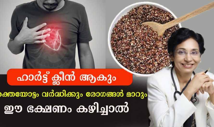 രക്തയോട്ടം വർദ്ധിക്കാനും ഹൃദയരോഗങ്ങൾ കുറയ്ക്കാനും ഈ ഭക്ഷണങ്ങൾ കഴിക്കൂ. മാറ്റം സ്വയം തിരിച്ചറിയൂ…| Heart clean medicine