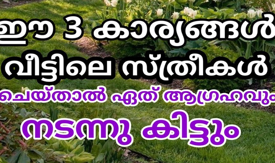 വീട്ടിൽ ഐശ്വര്യം നിലനിൽക്കാൻ ഉറങ്ങുന്നതിനു മുൻപ് സ്ത്രീകൾ ചെയ്യേണ്ട ഇക്കാര്യത്തെ അറിയാതെ പോയല്ലോ.