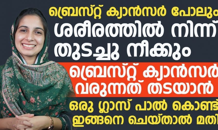 ബ്രസ്റ്റ് ക്യാൻസറിനെ തടയാൻ ഇതിനുള്ള കഴിവ് മറ്റൊന്നിനുമില്ല. ഇതാരും കണ്ടില്ലെന്ന് നടിക്കരുതേ…| Breast cancer awareness