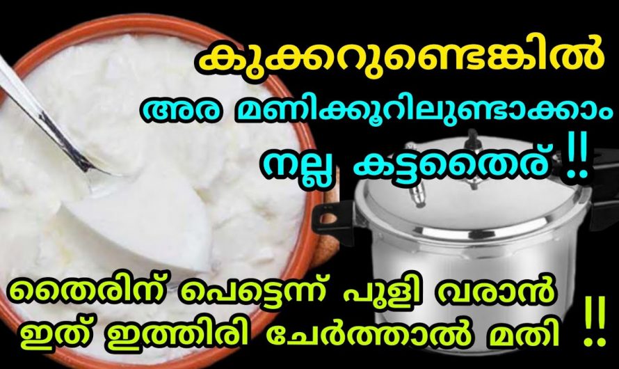 കട്ട തൈര് ഉണ്ടാക്കാൻ ഇനി അരമണിക്കൂർ തന്നെ ധാരാളം. ഇതാരും നിസ്സാരമായി കാണല്ലേ.