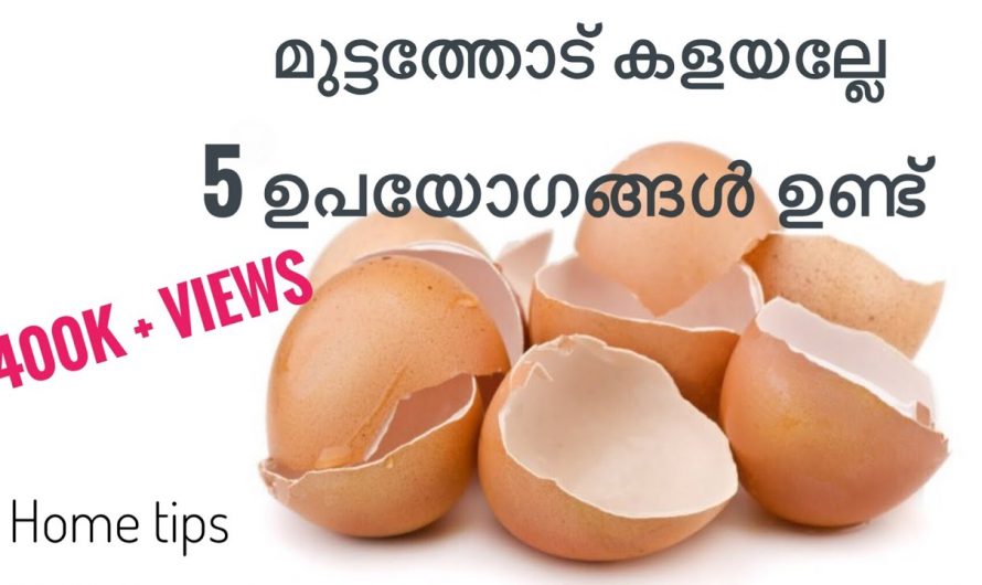 മുട്ടത്തോടിനെ ഇത്രയേറെ ഗുണങ്ങൾ ഉണ്ടായിരുന്നോ? ഇതാരും കാണാതെ പോകല്ലേ.