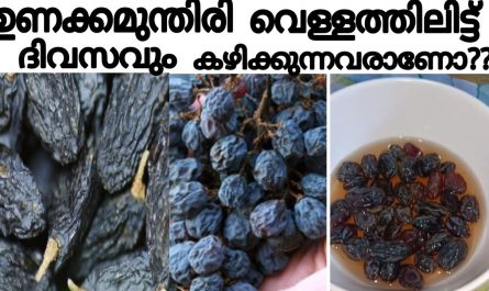 Benefits of eating Raisins