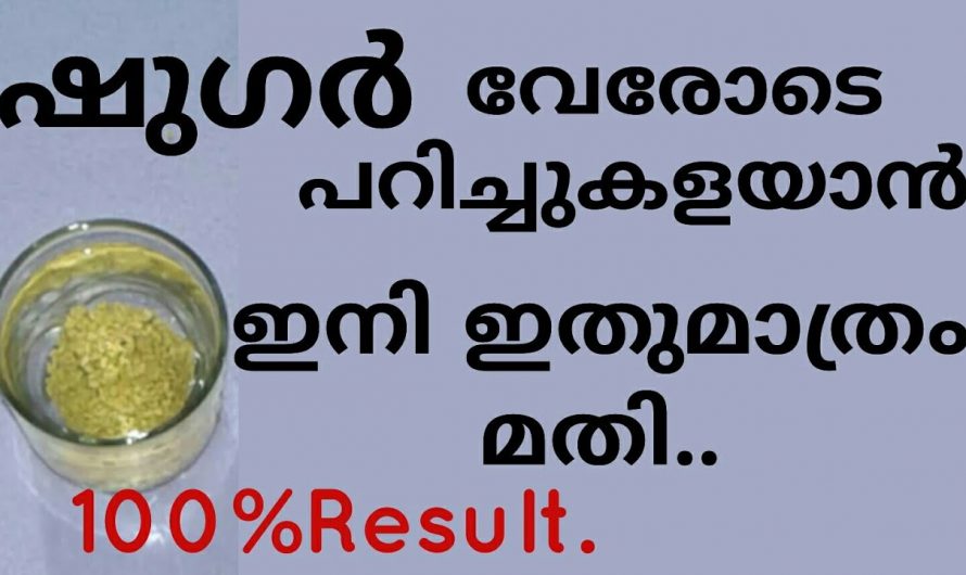 ശരീരത്തിൽ അടിഞ്ഞുകൂടിയിട്ടുള്ള ഷുഗറിനെ തുടച്ചുനീക്കാൻ ഇതിനുള്ള കഴിവ് മറ്റൊന്നിനുമില്ല.