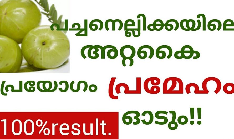 ഇതൊരെണ്ണം മതി പ്രമേഹത്തെ നിമിഷനേരത്തിനുള്ളിൽ ഇല്ലായ്മ ചെയ്യാൻ. കണ്ടു നോക്കൂ.