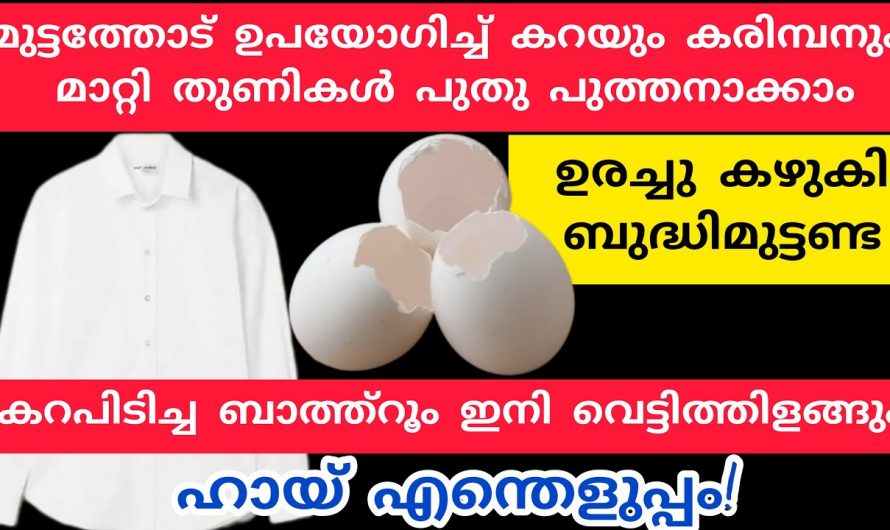 കറപിടിച്ച പാത്രങ്ങളും അഴുക്കുപിടിച്ച വസ്ത്രങ്ങളും വെട്ടിത്തിളങ്ങാൻ വലിച്ചെറിയുന്ന ഇതു മതി. കേട്ടുനോക്കൂ.