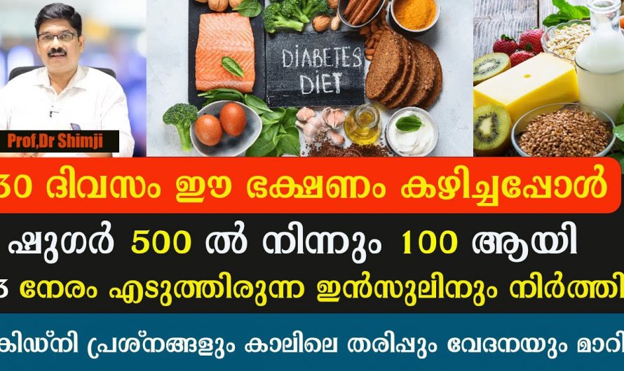 കൂടിയ ഷുഗറിനെ പരമാവധി കുറച്ചു കൊണ്ടുവരാൻ  ഇത് കഴിച്ചാൽ മതി. ഇതാരും നിസ്സാരമായി തള്ളിക്കളയരുതേ…| Sugar control diet