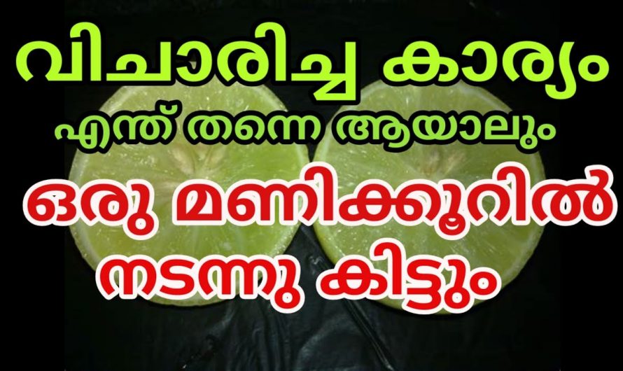 ആഗ്രഹിക്കുന്നത് വളരെ പെട്ടെന്ന് നേടിയെടുക്കാൻ ചെയ്യേണ്ട ഇക്കാര്യത്തെ ഇതുവരെയും അറിയാതെ പോയല്ലോ.