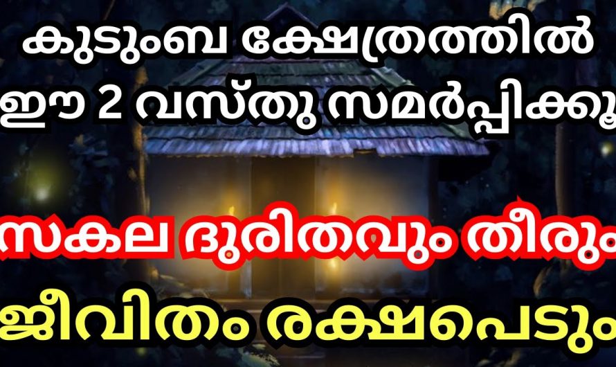 കുടുംബദേവതയുടെ അനുഗ്രഹം ഇല്ലാത്ത വീടുകളിൽ കാണുന്ന ലക്ഷണങ്ങൾ ഇതുവരെയും അറിയാതെ പോയല്ലോ.