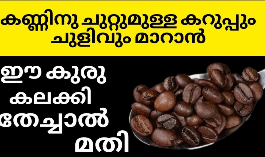 കണ്ണിന് ചുറ്റുമുള്ള കറുപ്പിനെ അകറ്റാൻ ഈയൊരു കുരു പ്രയോഗിച്ചാൽ മതി. ഇതാരും നിസ്സാരമായി കാണല്ലേ.