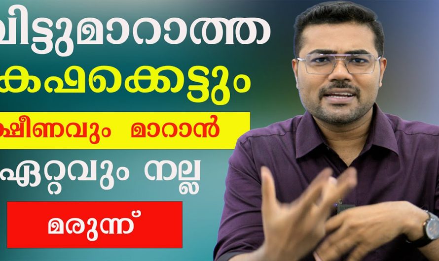 കുറയാതെ നിൽക്കുന്ന കഫക്കെട്ടിനെ പൂർണമായി മാറ്റാൻ ഇതു മതി. ഇത് ആരും നിസാരമായി കാണരുതേ…| Kapha kettu maran