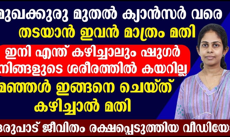 ഷുഗർ കൊളസ്ട്രോൾ മുഖക്കുരു മുതൽ ക്യാൻസർ വരെ ഇല്ലായ്മ ചെയ്യാൻ ഇതു മതി. കണ്ടു നോക്കൂ.