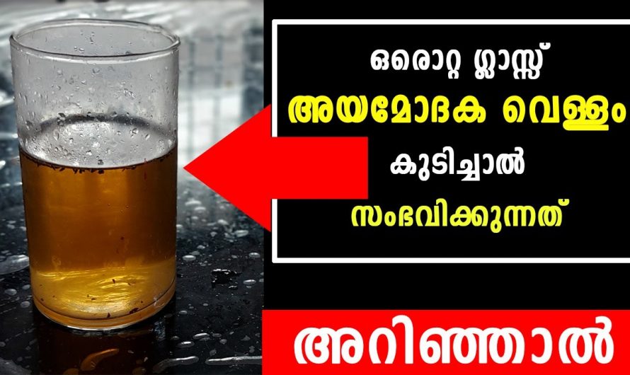 ദഹനവ്യവസ്ഥയെ മെച്ചപ്പെടുത്താൻ ഇതിലും നല്ലൊരു മാർഗം വേറെയില്ല. ഇതാരും നിസ്സാരമായി കാണരുതേ.