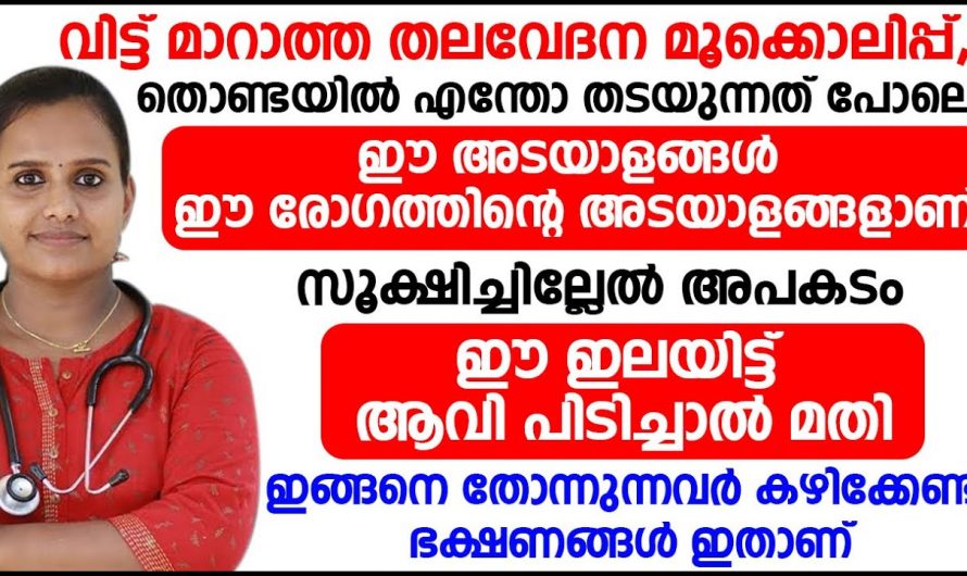 സൈനസൈറ്റിസിനെ മറികടക്കാൻ ഈ ഇലയിട്ട് ആവി പിടിച്ചാൽ മതി. ഇതാരും കാണാതെ പോകല്ലേ.