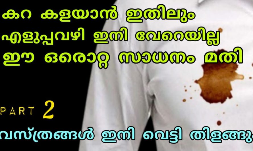 തുണിയിൽ പറ്റിപ്പിടിച്ചിരിക്കുന്ന ഏത് കറയും നീക്കാൻ ഇതൊരു തുള്ളി മതി. ഇതാരും നിസ്സാരമായി തള്ളിക്കളയരുതേ…| Useful tips for everyday life