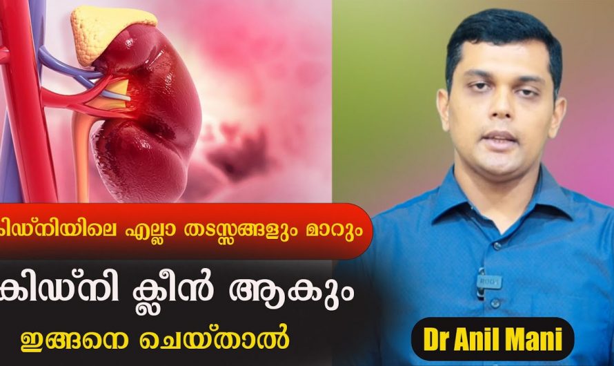 കിഡ്നിയിലെ തടസ്സങ്ങളെ മറികടക്കാൻ ഇതാരും കാണാതെ പോകരുതേ.