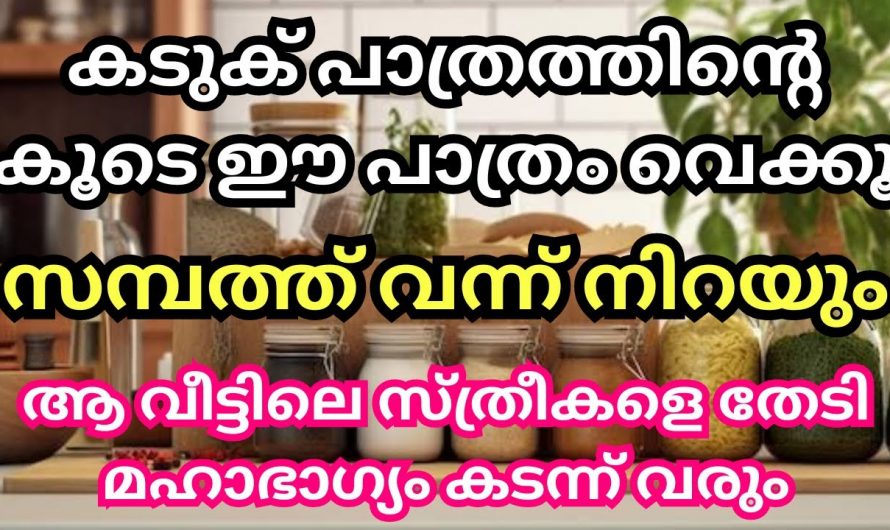 ജീവിതത്തിൽ സമ്പത്തും സന്തോഷവും നിറയാൻ ഇങ്ങനെ ചെയ്യൂ. ഇതാരും നിസ്സാരമായി തള്ളിക്കളയല്ലേ.