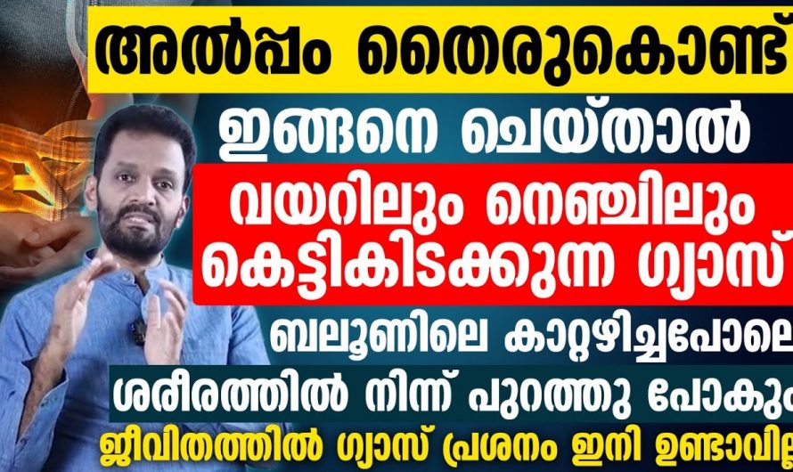 നെഞ്ചിലും വയറിലും കെട്ടികിടക്കുന്ന ഗ്യാസിന് പുറന്തള്ളാൻ  ഒരല്പം തൈര് മതി. ഇതാരും നിസ്സാരമായി തള്ളിക്കളയരുതേ…| Gas trouble solution in malayalam