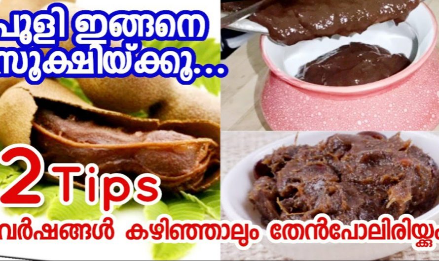 വളരെ എളുപ്പത്തിൽ വർഷങ്ങളോളം കേടുകൂടാതെ പുളി സൂക്ഷിക്കാം.  ഇതാരും കാണാതെ പോകരുതേ.