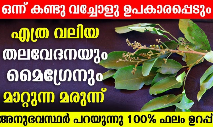 മൈഗ്രേൻ വേദനയെ വളരെ നിസ്സാരമായി മാറ്റാൻ ഇതു മതി. ഇതാരും അറിയാതെ പോകല്ലേ.