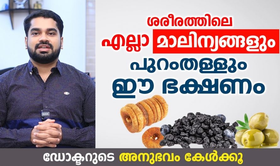 രോഗങ്ങളെ ശരീരത്തിലേക്ക് കയറ്റാതെ പുറന്തള്ളാൻ ഇത്തരം ഭക്ഷണം ശീലമാക്കൂ. മാറ്റം സ്വയം തിരിച്ചറിയൂ.