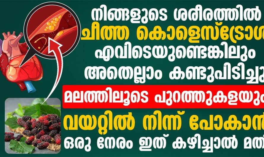 ചീത്ത കൊളസ്ട്രോളിന്  തുടച്ചുനീക്കാൻ ഇതൊരെണ്ണം മതി. ഇതിന്റെ ഗുണങ്ങൾ ആരും നിസ്സാരമായി കാണരുതേ.